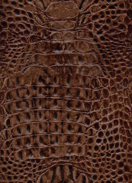 Platinum Croco / Cognac