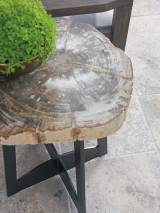 Petrified Wood Table