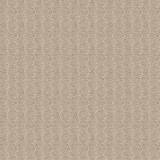 Town Square-Ltx/Pecan