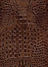 Platinum Croco / Cognac