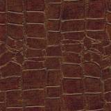 Outback / Sesame