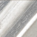 Silver Leaf