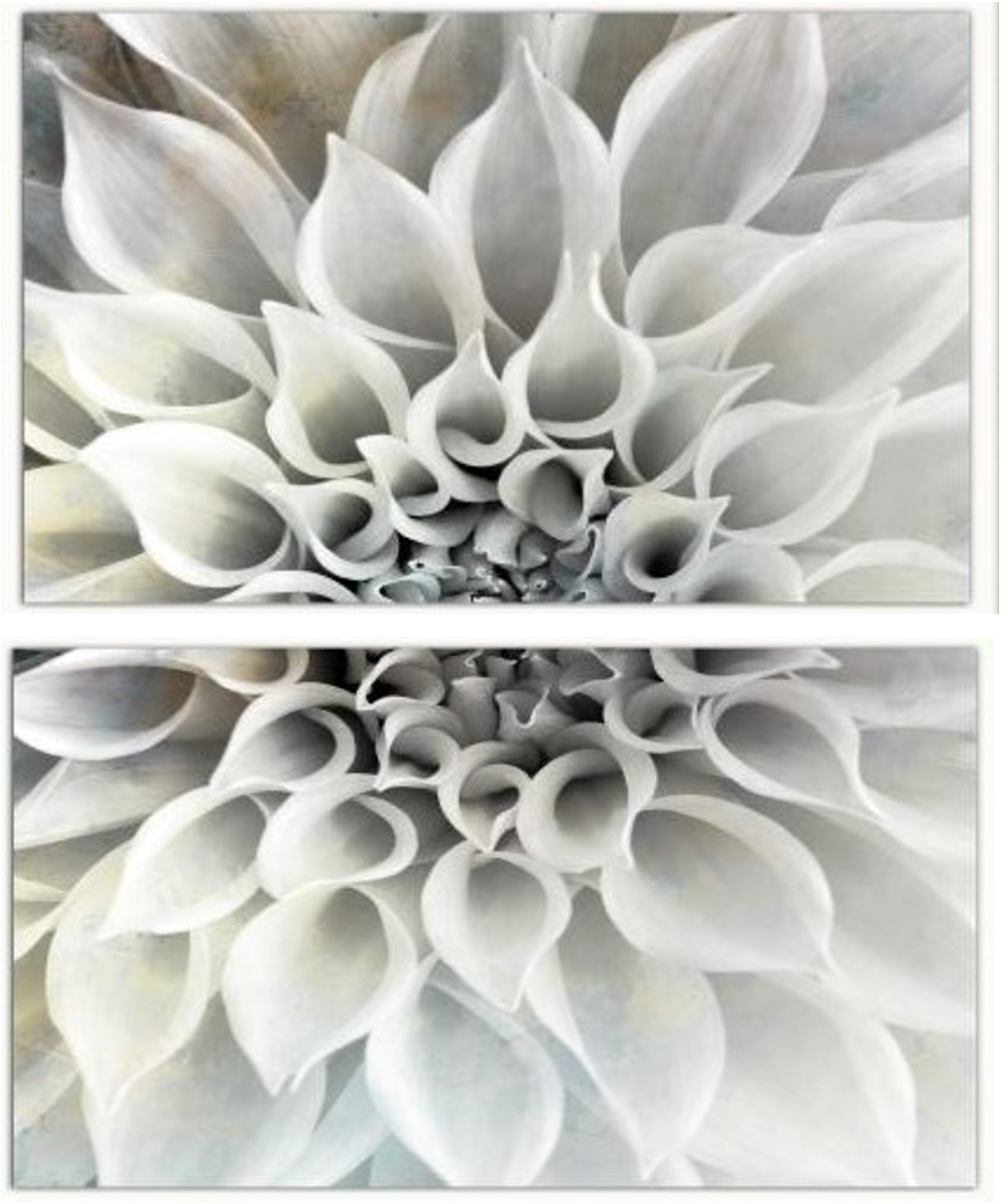 Centered Image